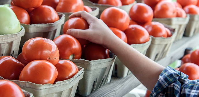 A five-year-old's guide to the perfect pumpkin patch trip