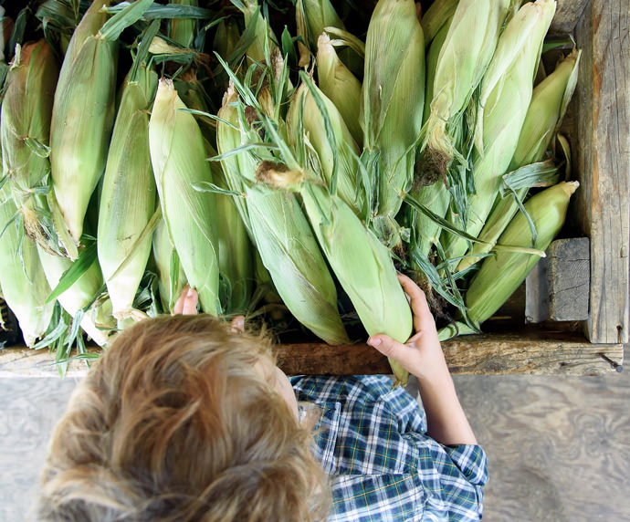 A five-year-old's guide to the perfect pumpkin patch trip