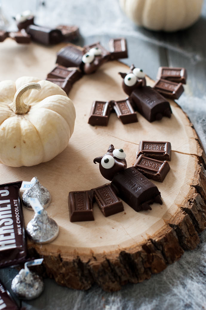 Mini Chocolate Bats