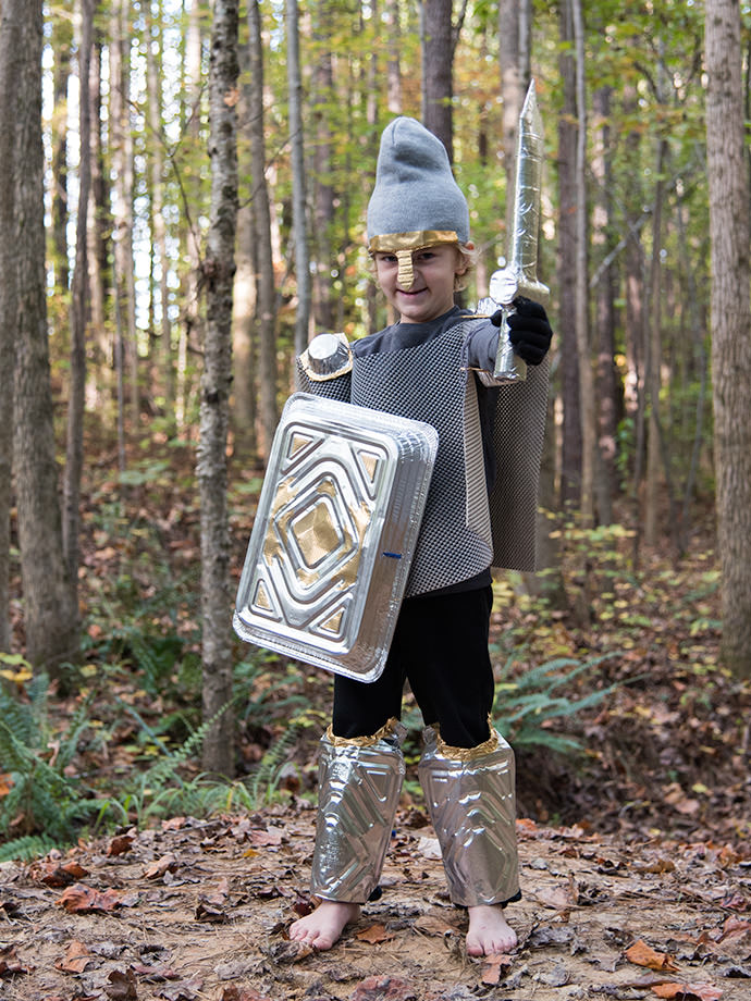 Noble Knight Costume