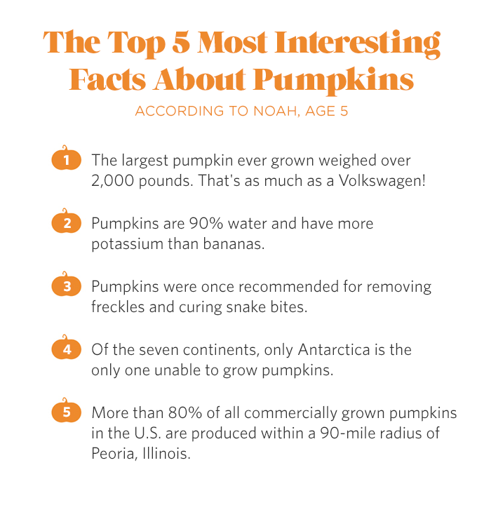 The Top 5 Most Interesting Pumpkin Facts According To Noah (Age 5)