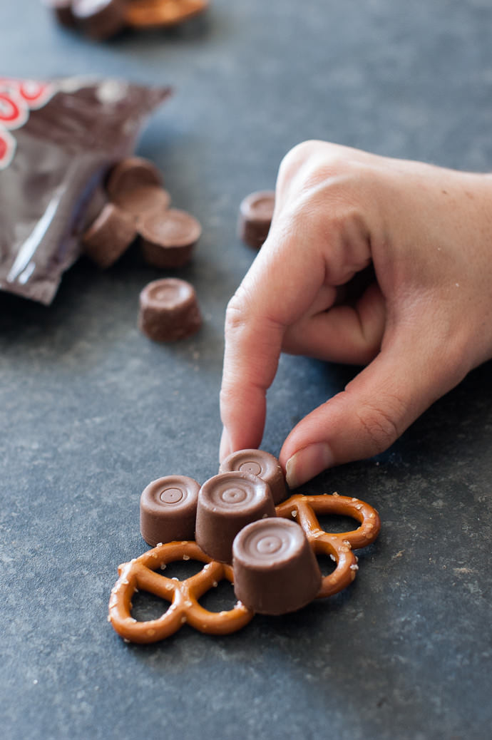 Mini Holiday Owl Sweeties