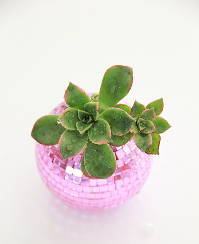 Disco Ball Planter, tutorial via A Bubbly Life