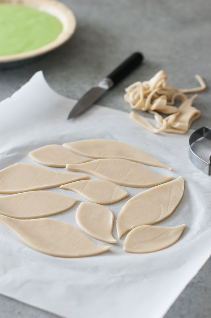 How To Make A Fern Pie Crust