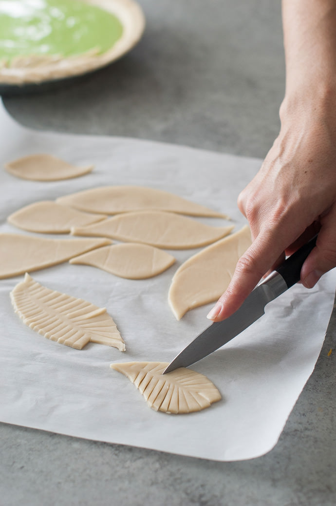 How To Make A Fern Pie Crust