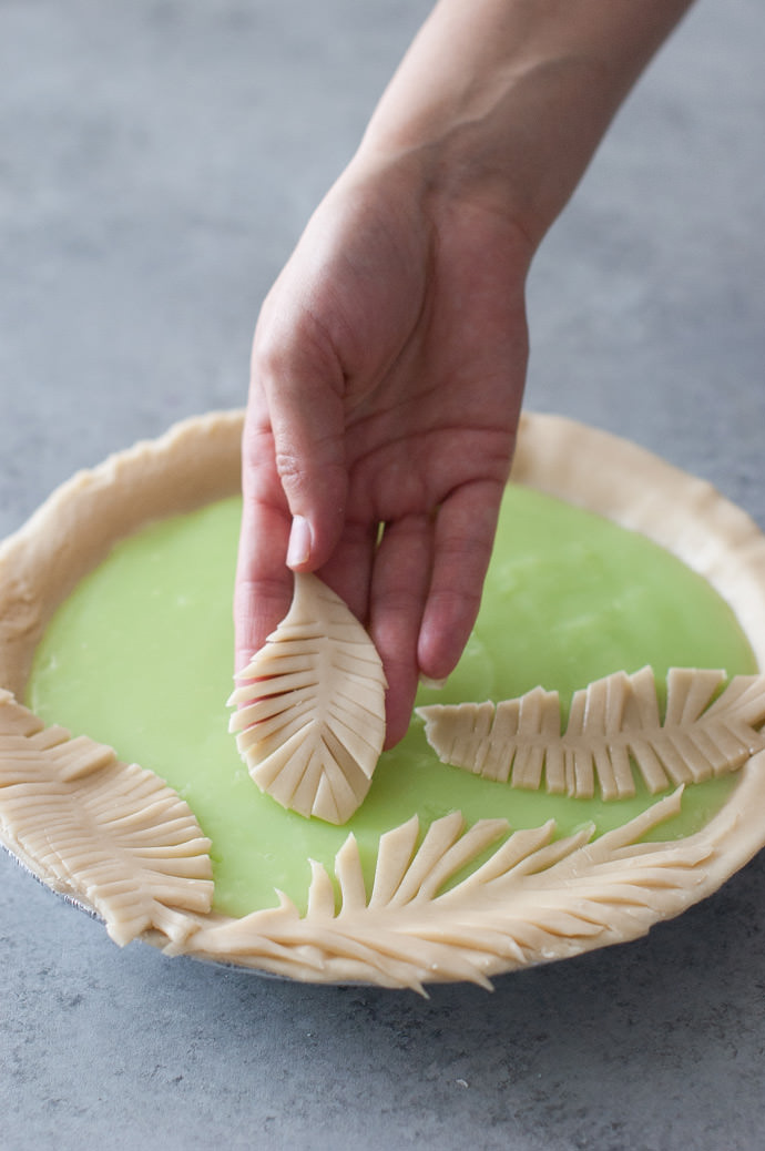 How To Make A Fern Pie Crust