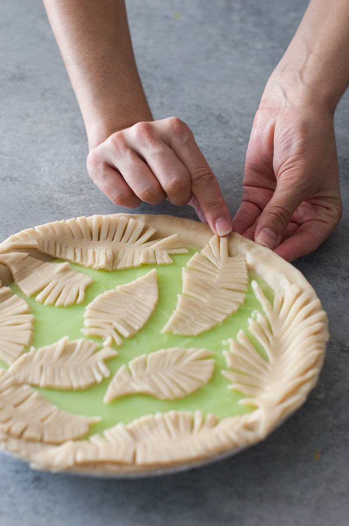 How To Make A Fern Pie Crust