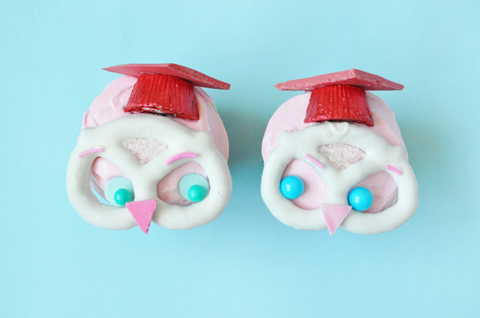 Owl Graduation Cupcakes