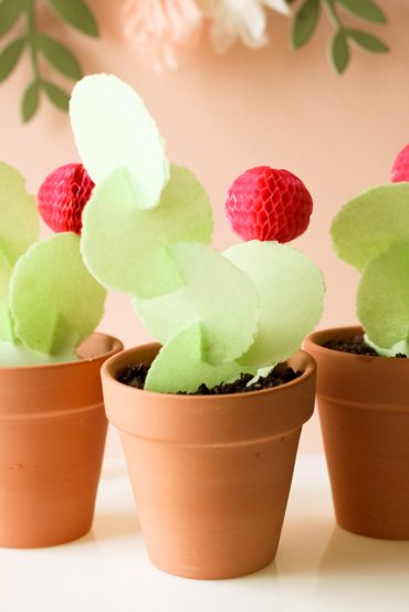 DIY Edible Cactus Treat