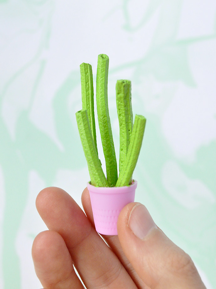 Miniature Pasta Plants