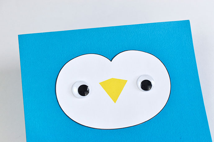 Animal Face Pocket Folders