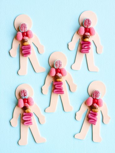 Body Organ Halloween Pops