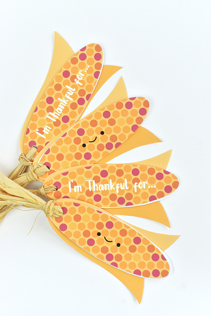 Harvest Corn Gratitude Books