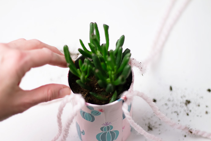 Recycled Tin Can Planters