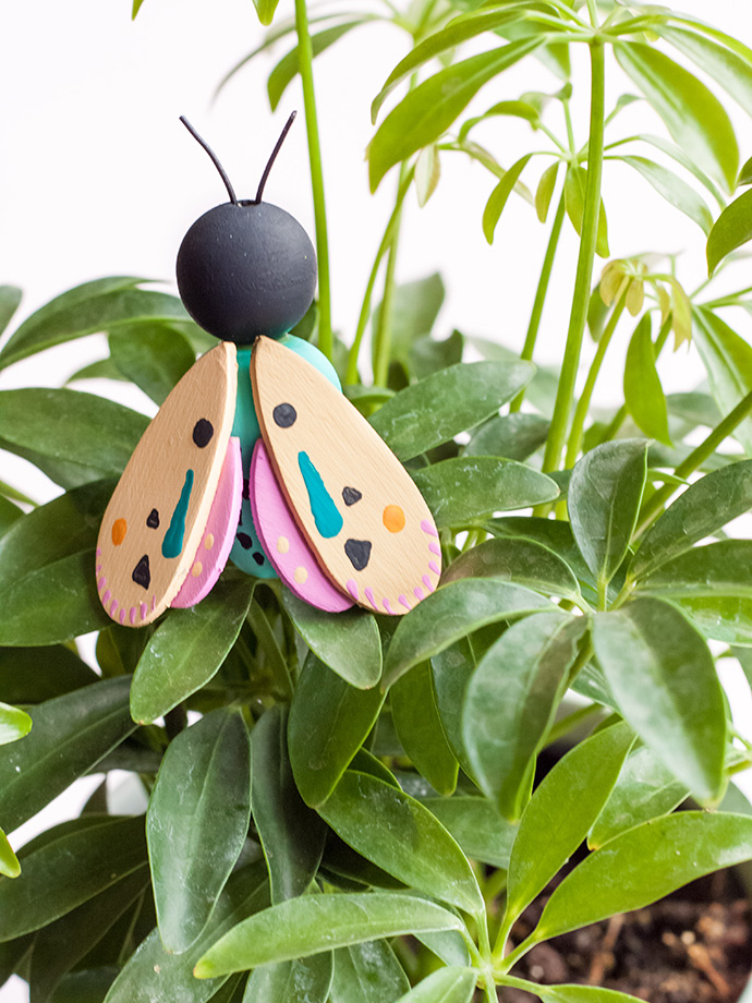 Wooden Moths and Dragonflies