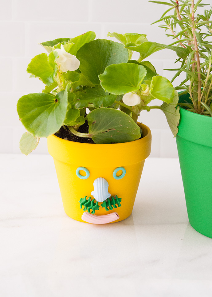 Father's Day Pasta Planters