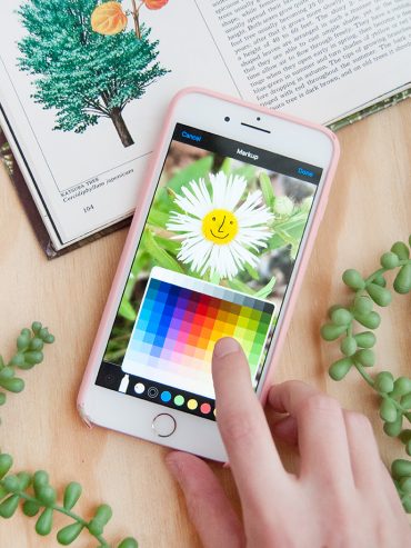 Nature Walk Digital Art