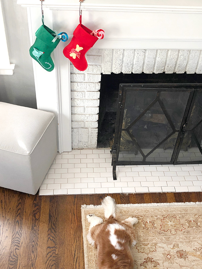 DIY Pet Stockings