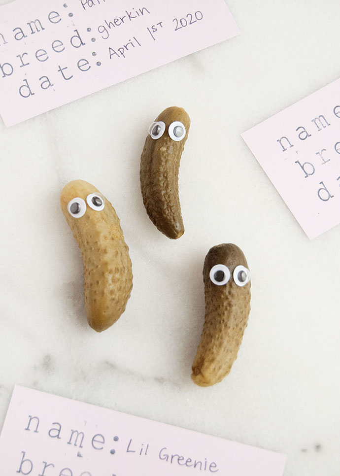 Pickle Pets for April Fool's Day
