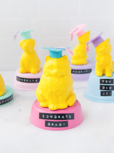 DIY Graduation Crafts