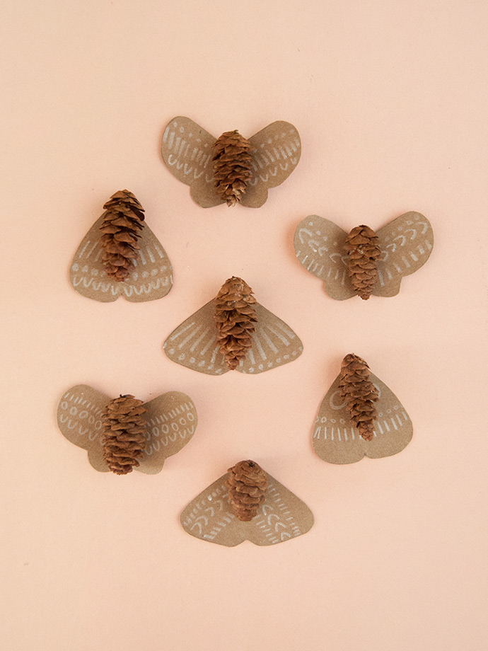 Pinecone Moths