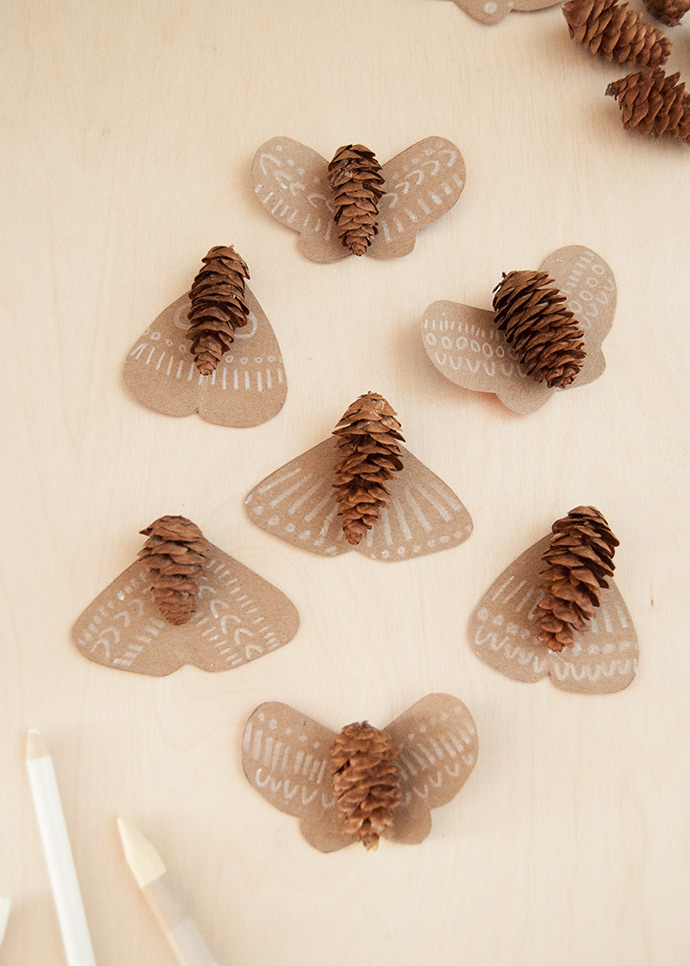 Pinecone Moths