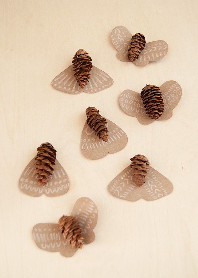 Pinecone Moths