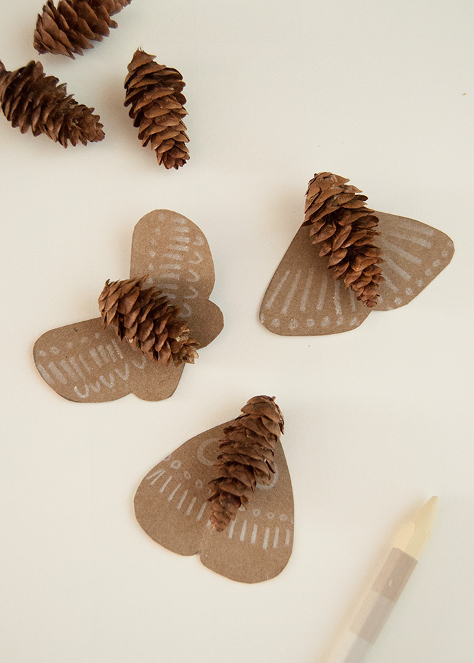 Pinecone Moths