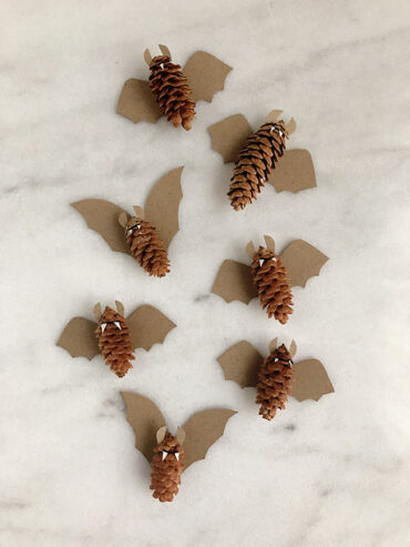 Pinecone Bats