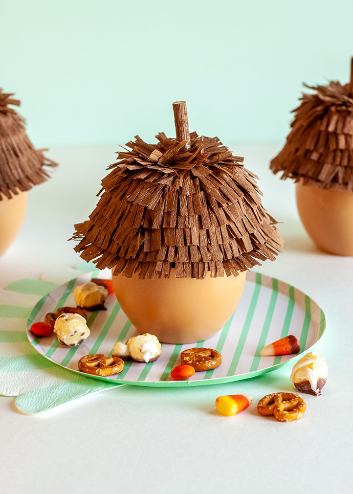 Thanksgiving Acorn Containers